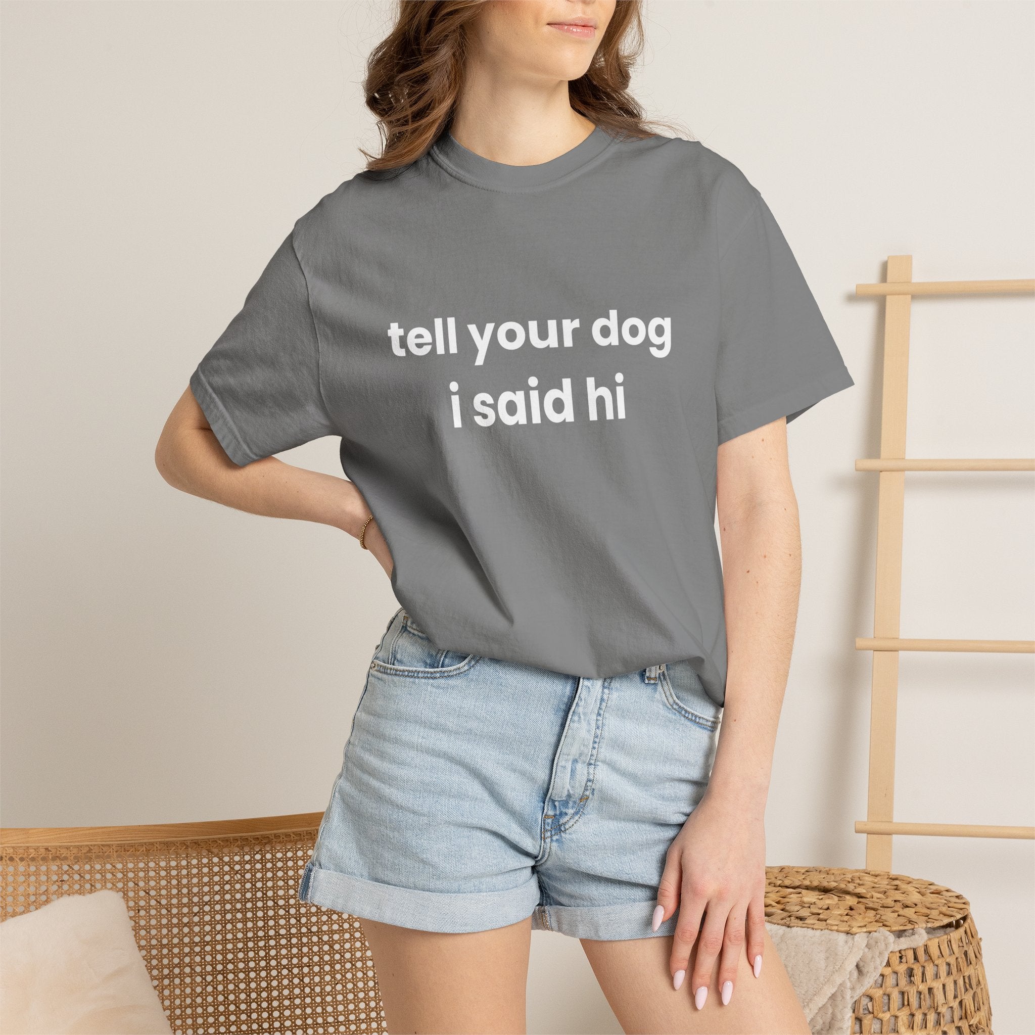 Tell Your Dog I Said Hi Comfort Colors T-shirt in Grey